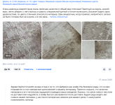 review+.png